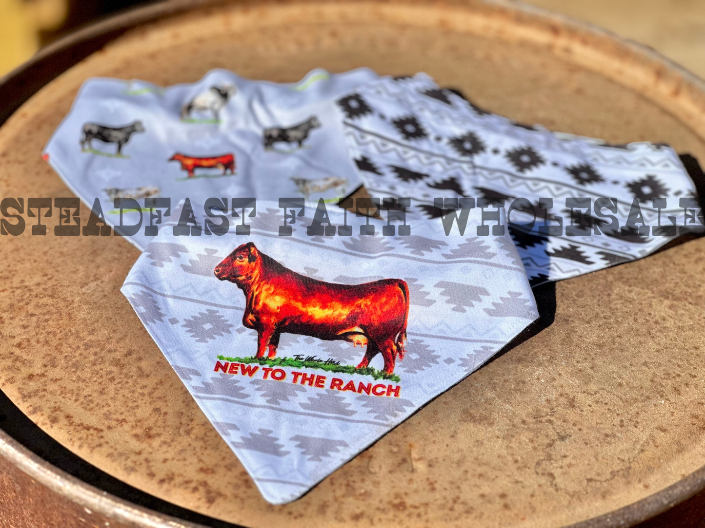 New To The Ranch Drool Bib Set
