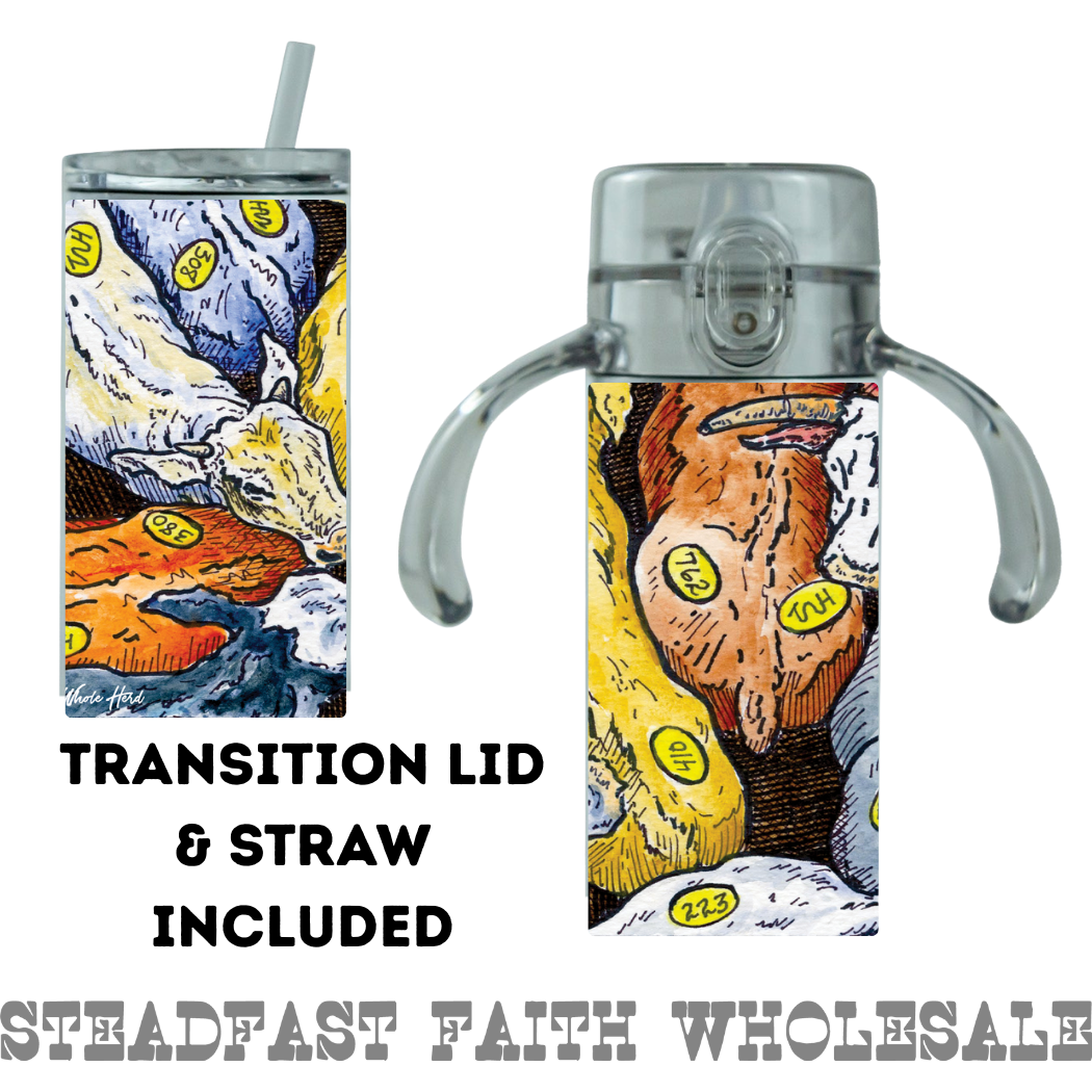 12 oz Stainless Steel Sippy Tumblers