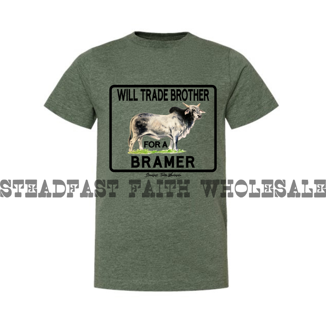 Will Trade Brother For A Bramer