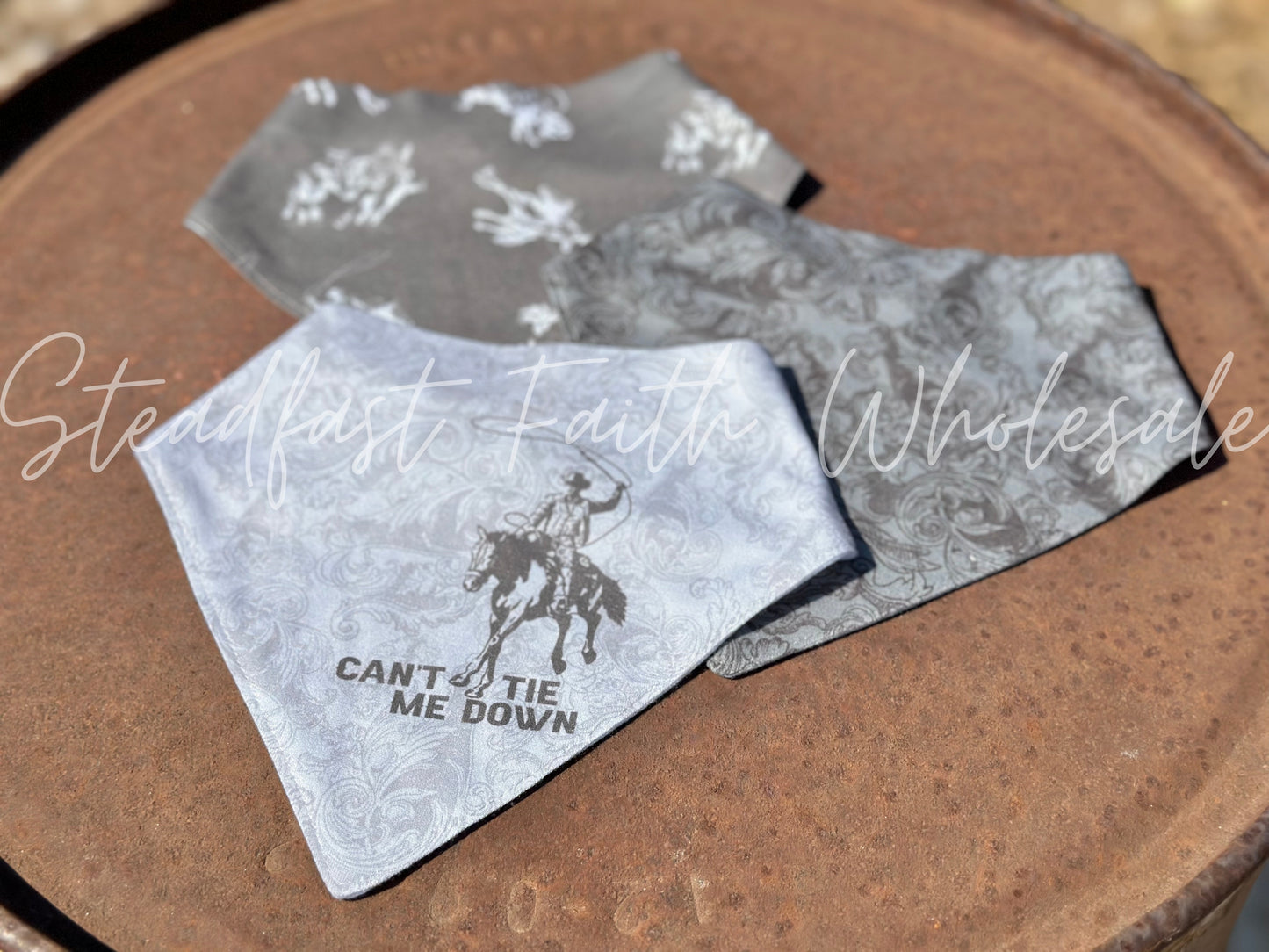 Can't Tie Me Down Drool Bib Set