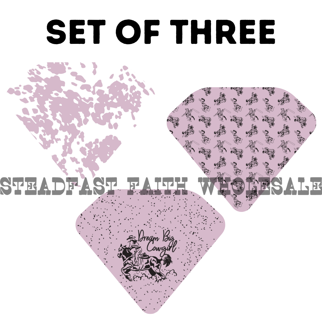 Dream Big Cowgirl Drool Bib Set