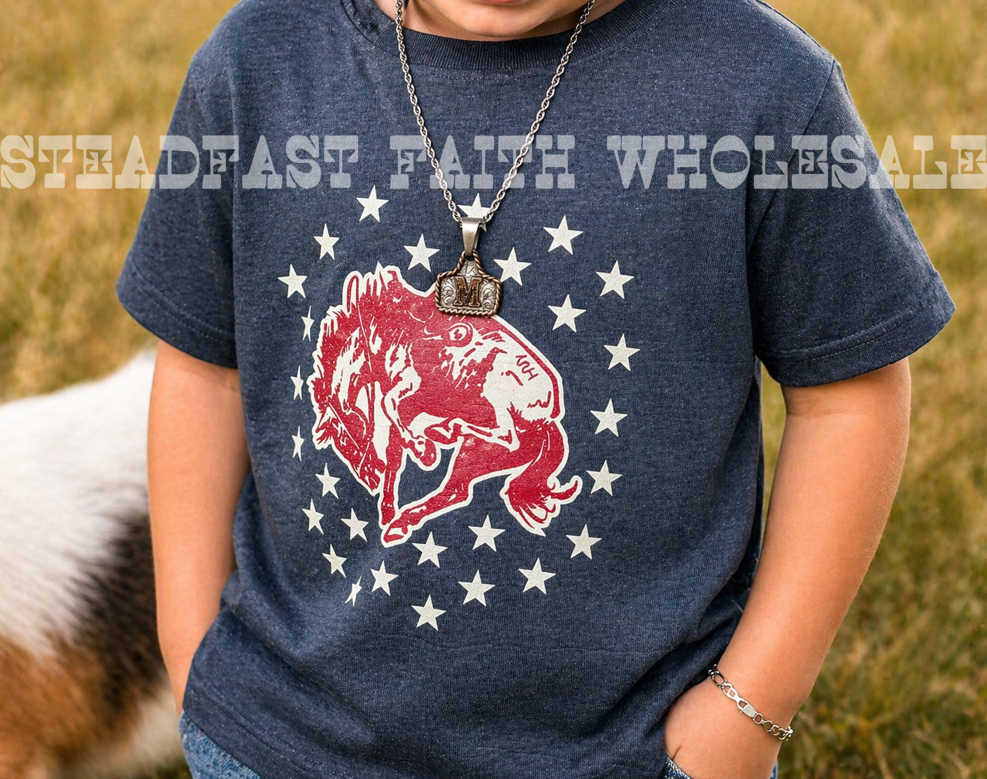 American Bronc