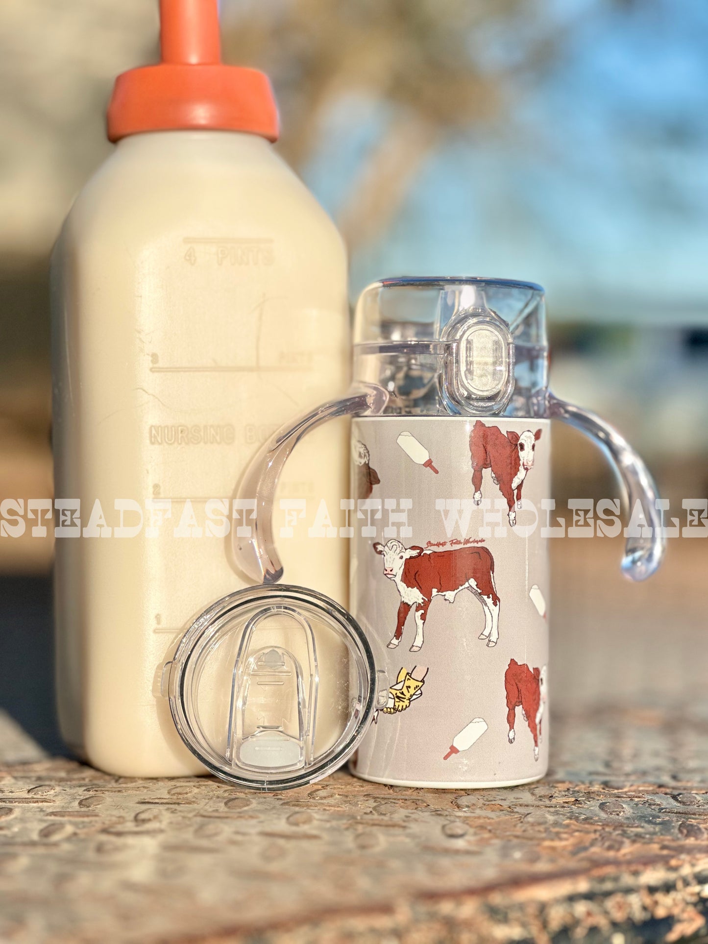 12 oz Stainless Steel Sippy Tumblers