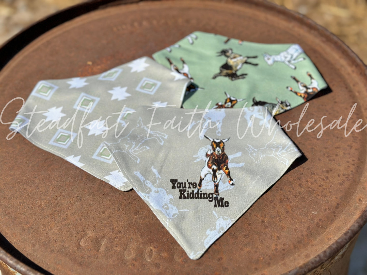 You're Kidding Me Drool Bib Set