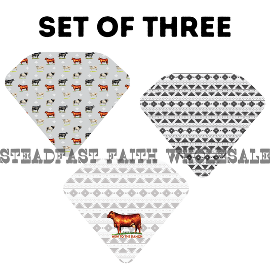 New To The Ranch Drool Bib Set