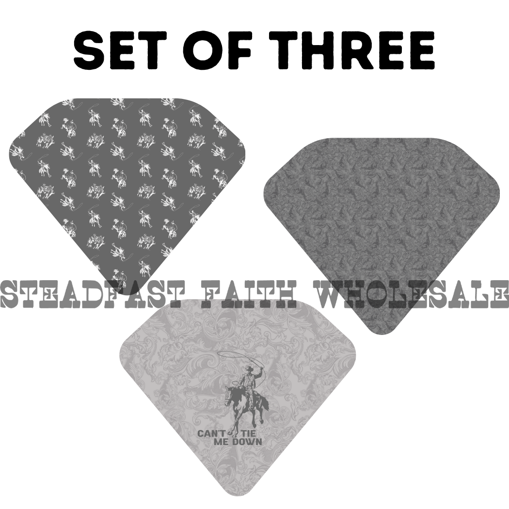 Can't Tie Me Down Drool Bib Set