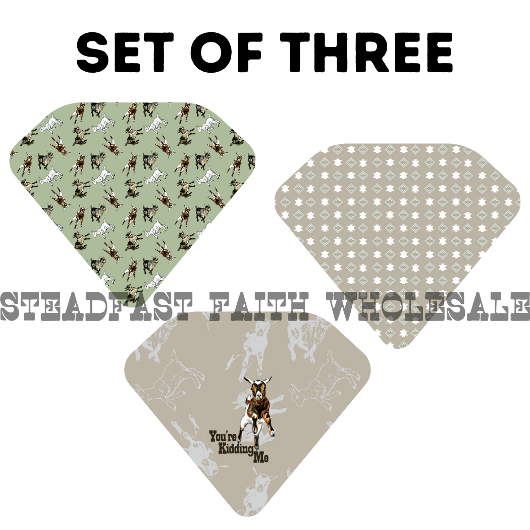 You're Kidding Me Drool Bib Set