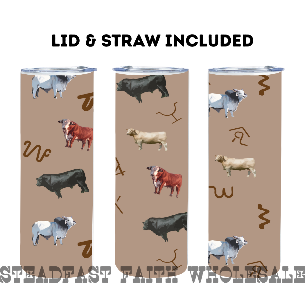 Discontinued Skinny Tumblers
