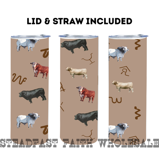 Discontinued Skinny Tumblers